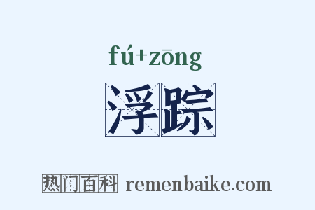 浮踪是什么意思的图片
